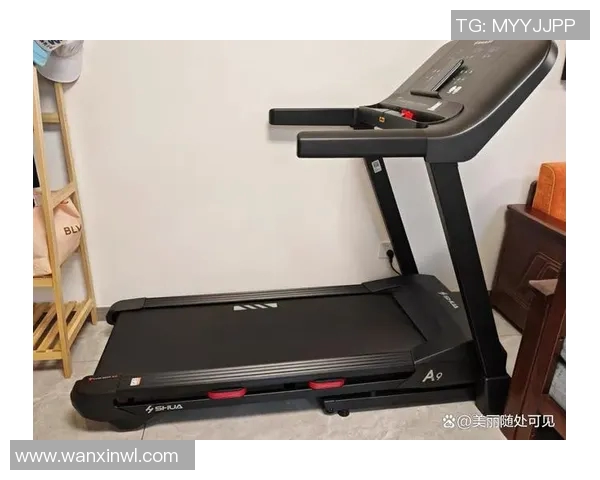 2023年舒华健身器材排名及推荐分析助你选择最适合的健身设备